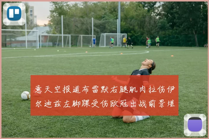 意天空报道布雷默右腿肌肉拉伤伊尔迪兹左脚踝受伤欧冠出战前景堪忧